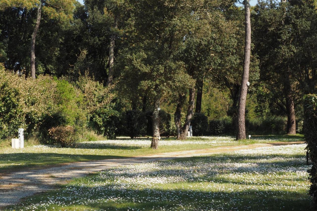 Camping Le Puits De L'auture Camping Saint-Palais-sur-Mer